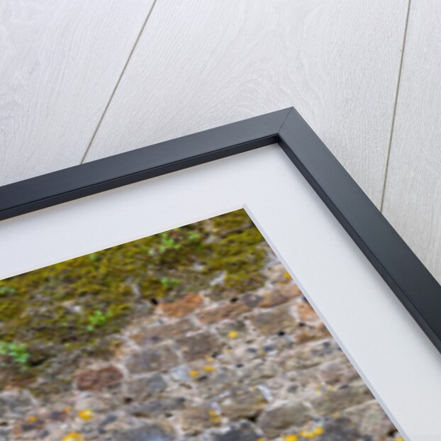 Old stone wall by Assaf Frank